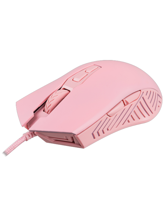 mouse (1)